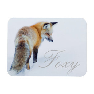 Rotfuchs im Winter Magnet