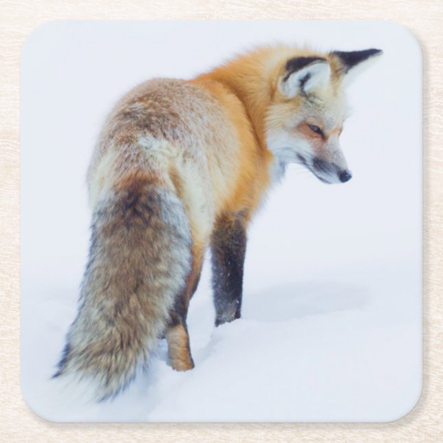 Rotfuchs im Winter Rechteckiger Pappuntersetzer (Vorderseite)