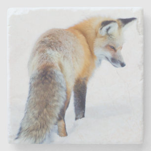 Rotfuchs im Winter Steinuntersetzer