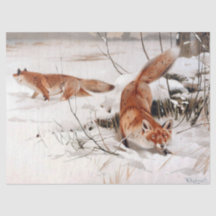 Rotfuchs im Winterschnee (von Wilhelm Kuhnert)