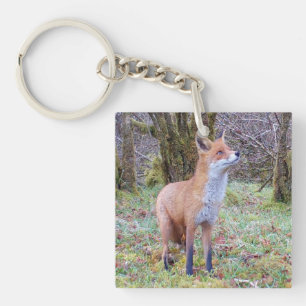 Rotfuchs nach oben schauend Wildtier Waldtier Natu Schlüsselanhänger