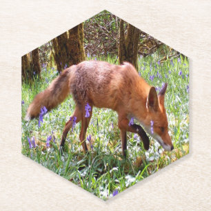 Rotfuchs Naturinspirierte Blaue Glockenblumen Wald Untersetzer