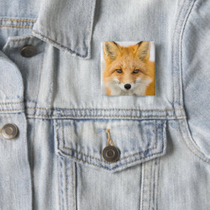 Rotfuchs-Porträt Button