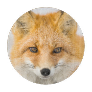 Rotfuchs-Porträt Schneidebrett
