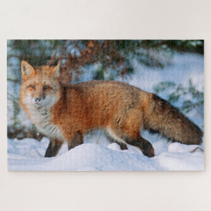 Rotfuchs   Schnee im Winter, Montana Puzzle