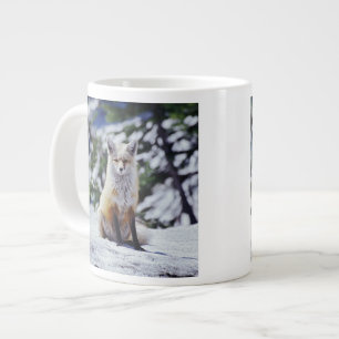 Rotfuchs sitzt auf Schneebank, Vulpes, Berg Jumbo-Tasse