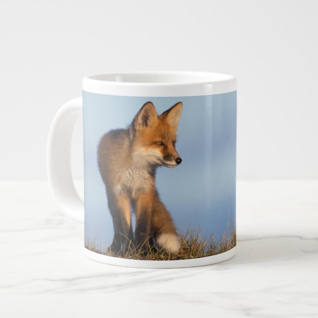Rotfuchs, Vulpes vulpes Jumbo-Tasse (Vorderseite Links)