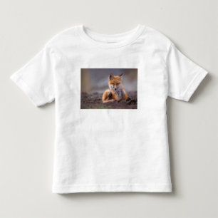 Rotfuchs, Vulpes vulpes, Jungtier kratzt sich, Kleinkind T-shirt
