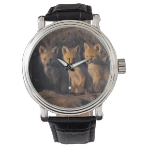 Rotfuchs, Vulpes vulpes, Jungtiere Armbanduhr
