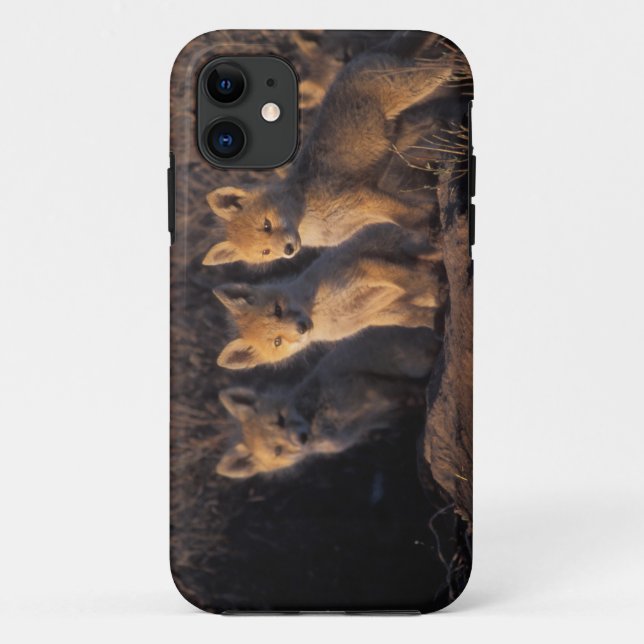 Rotfuchs, Vulpes vulpes, Jungtiere Case-Mate iPhone Hülle (Rückseite)