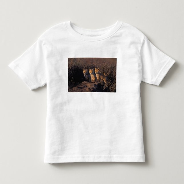 Rotfuchs, Vulpes vulpes, Kits Kleinkind T-shirt (Vorderseite)