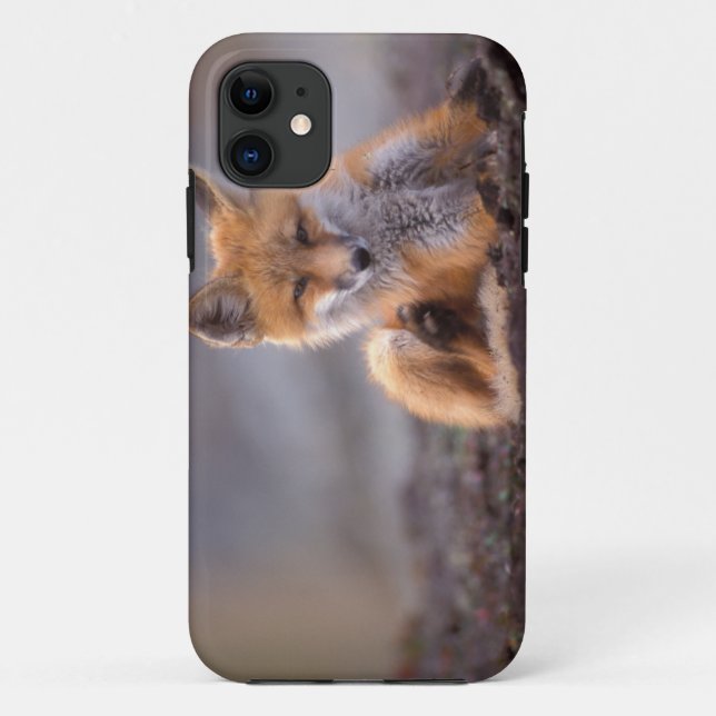 Rotfuchs, Vulpes vulpes, sich selbst kratzen, Case-Mate iPhone Hülle (Rückseite)