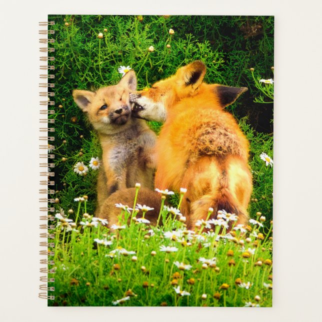 Rotfuchs-Welpen Planer | Waldtiere-Kunst (Vorderseite)