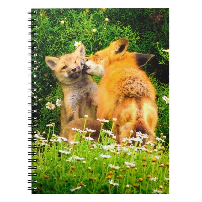 Rotfuchs-Welpen Spiralblock | Wildtier-Tagebuch Notizblock (Vorderseite)