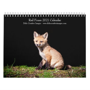 Rotfüchse 2021 Kalender