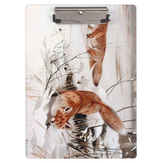 Rotfüchse im Schnee im Winter (von Wilhelm Kuhnert Klemmbrett (Vorderseite)