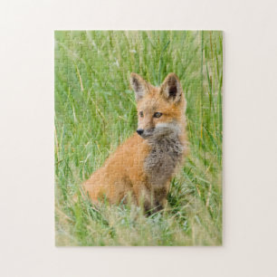 Rotfuchsjunges im Gras nahe dem Bau Puzzle
