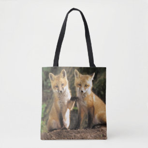 Rotfuchsjunges vor dem Bau Vulpes vulpes