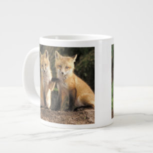 Rotfuchsjunges vor dem Bau (Vulpes vulpes) Jumbo-Tasse