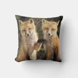 Rotfuchsjunges vor dem Bau (Vulpes vulpes) Kissen