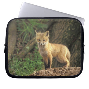 Rotfuchsjunges vor dem Bau (Vulpes vulpes) Laptopschutzhülle