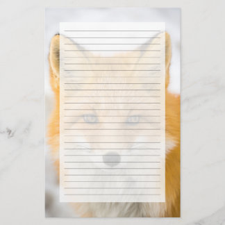 Rotfuchsporträt Briefpapier
