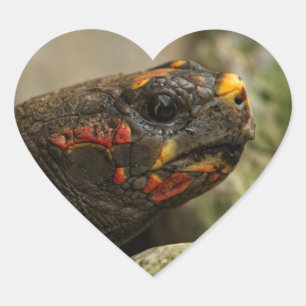 Rotfußschildkröte Herz-Aufkleber