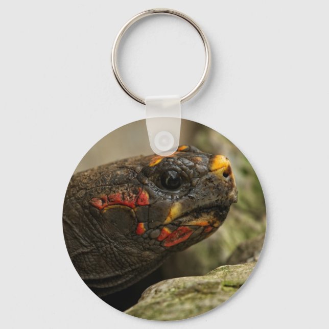 Rotfußschildkröte Schlüsselanhänger (Vorderseite)