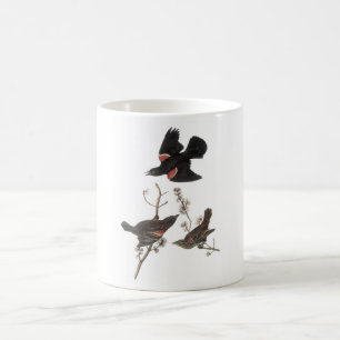 Rotgeflügelte Amsel durch Audubon Tasse