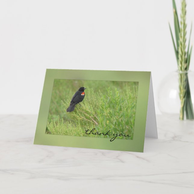 Rotgeflügelte Amsel-Gruß-Karte Dankeskarte (Vorderseite)