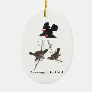 Rotgeflügelte Amsel, John Audubon Keramikornament