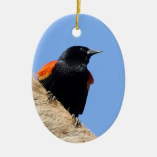 Rotgeflügelte Amsel Keramikornament