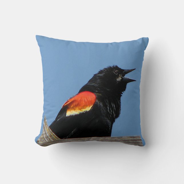 Rotgeflügelte Amsel Kissen (Vorderseite)