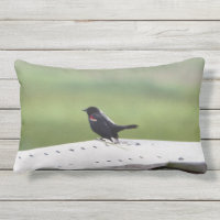 Rotgeflügelte Amsel