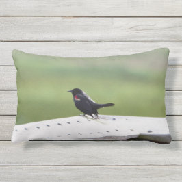 Rotgeflügelte Amsel Kissen Für Draußen