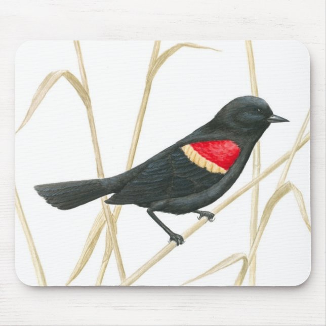 Rotgeflügelte Amsel Mousepad (Vorne)