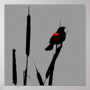 Rotgeflügelte Amsel-Plakat Poster