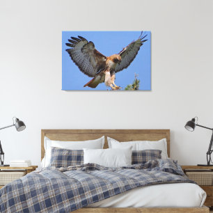 Rotgeschwanzbussard Sanfte Landung Stretch Leinwan Leinwanddruck