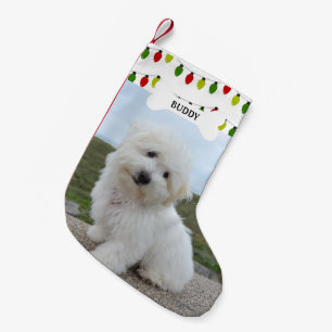 Rotgrüne Leuchten Knochen Foto Kleiner Weihnachtsstrumpf