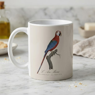 Rotgrüner Ara, Ara chloropterus Kaffeetasse