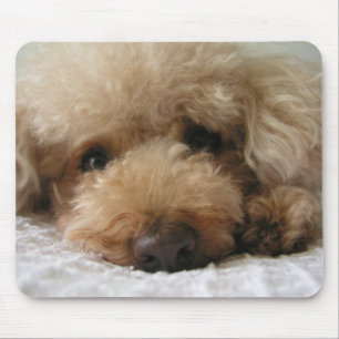 Rothaariger Pudel Mousepad