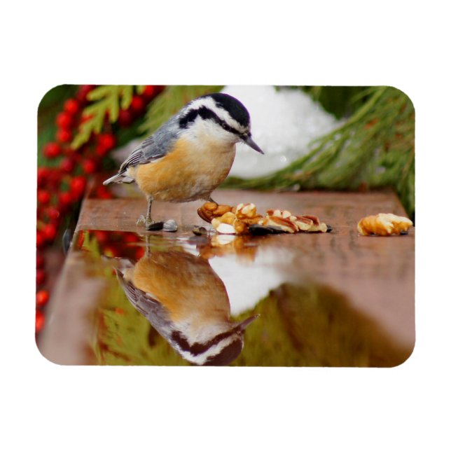 Rothatch Magnet (Horizontal)