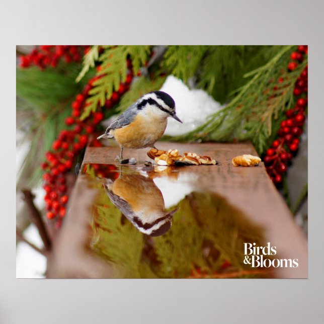 Rothatch Poster (Vorne)