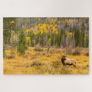 Rothirsch Rocky Mountain National Park Colorado Puzzle