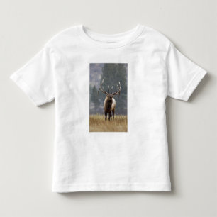 Rothirsch röhrt, Yellowstone NP, Wyoming 2 Kleinkind T-shirt