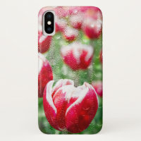 Rotholländische Tulpen