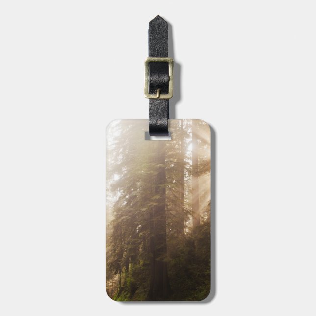 Rotholz-Bäume in Morgennebel mit Sonnenstrahlen Gepäckanhänger (Vorderseite vertikal)