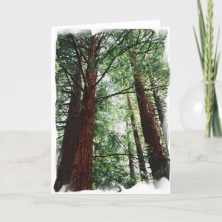 Rotholz-Himmel Karte