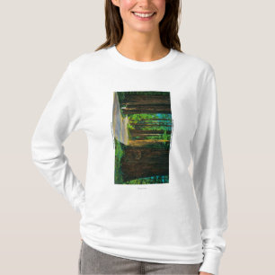 Rotholz-Landstraße im Humboldt-Staats-Rotholz-Par T-Shirt
