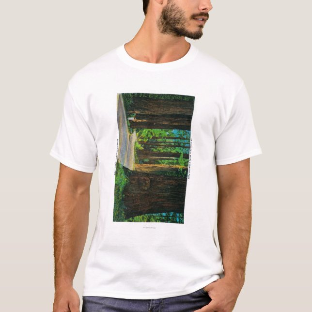 Rotholz-Landstraße im Humboldt-Staats-Rotholz-Park T-Shirt (Vorderseite)
